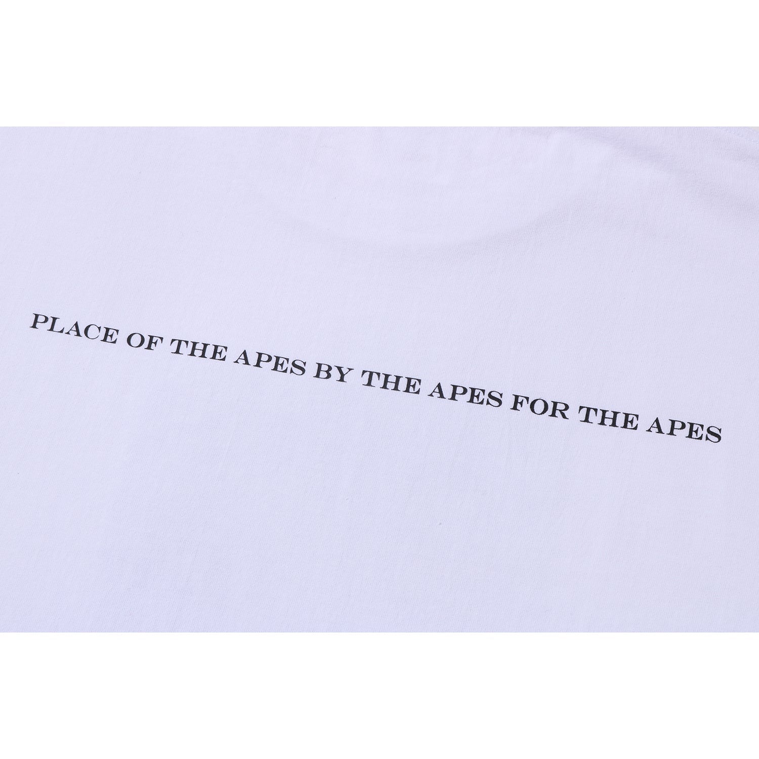 US BAPEC STAMP TEE MENS